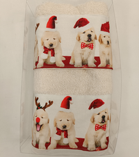 COMPLETE CHRISTMAS DIGITAL SPONGE 1 + 1 Tellini S.r.l. Wholesale Clothing